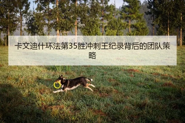 卡文迪什环法第35胜冲刺王纪录背后的团队策略