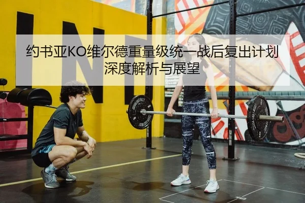 约书亚KO维尔德重量级统一战后复出计划深度解析与展望